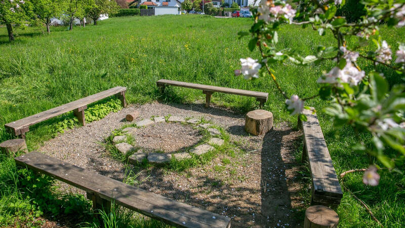 Eine kreisförmige Feuerstelle mit umgebenden Holzbänken steht in einer grünen Wiese, im Vordergrund blüht ein Baum.